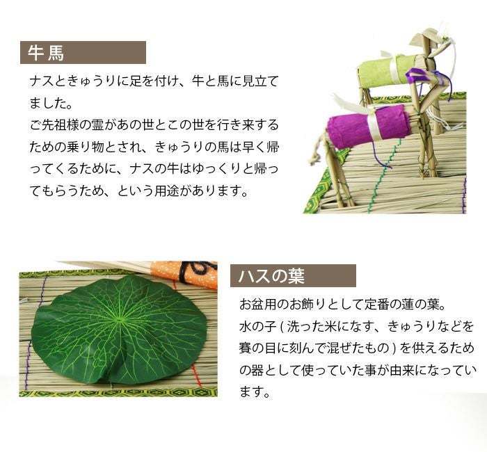 新盆・お盆5点セット【type-C】 提灯は卓上・コードレス！人気の小珠